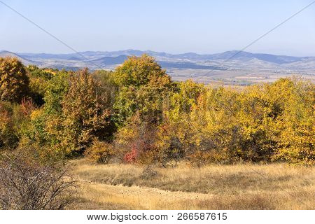 Amazing Autumn Panorama Of Cherna Gora (monte Negro) Mountain, Pernik Region, Bulgaria