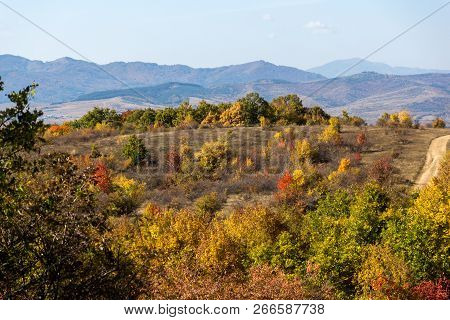 Amazing Autumn Panorama Of Cherna Gora (monte Negro) Mountain, Pernik Region, Bulgaria