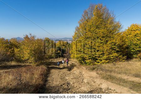 Amazing Autumn Panorama Of Cherna Gora (monte Negro) Mountain, Pernik Region, Bulgaria