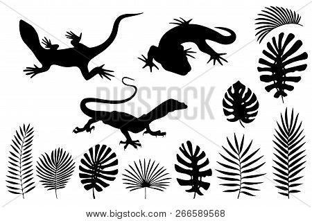 Silhouettes Of Lizards, Gecko And Tropical Leaves