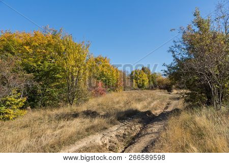 Amazing Autumn Panorama Of Cherna Gora (monte Negro) Mountain, Pernik Region, Bulgaria