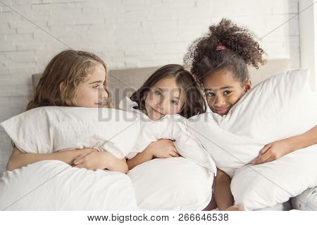 Group Of Tree Friends Taking Goog Time On Bed