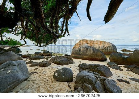 Tropical Beach Anse Nord Est In The North Of Mahe, Seychelles Beach