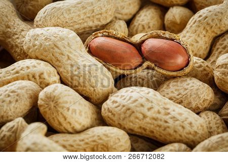 Peeled Peanut On Well Peanuts. Peanuts, For Background Or Textures.