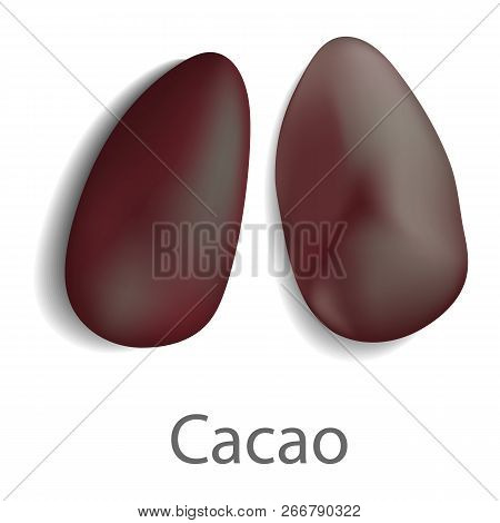 Cacao Mockup. Realistic Illustration Of Cacao Mockup For Web Design Isolated On White Background