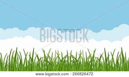 Landscape With Dreen Grass Against The Blue Sky And Clouds Background. Grass Leaves And Lawn At The 
