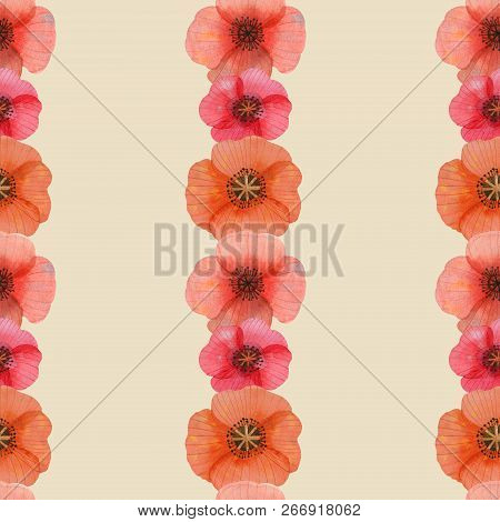 Wild Flowers Poppies Watercolor Set Illustration Seamless