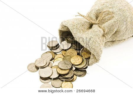  Bolsa con monedas