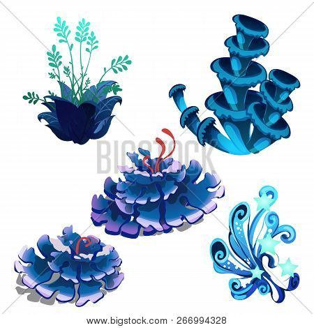 Set Of Colorful Marine Cartoon Algae And Coral Polyps Isolated On White Background. Vector Illustrat