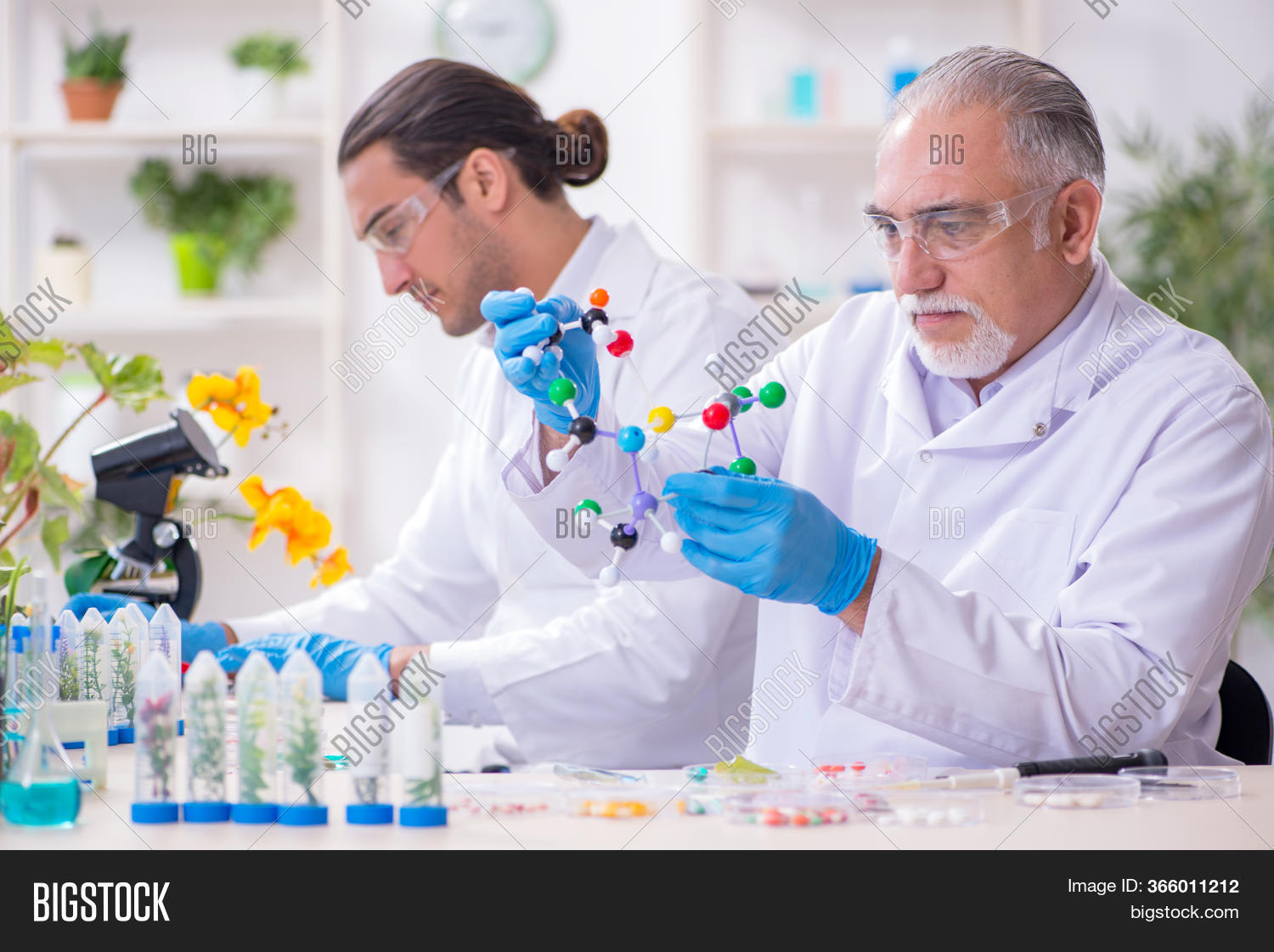 Two Chemists Working Image Photo (Free Trial) Bigstock