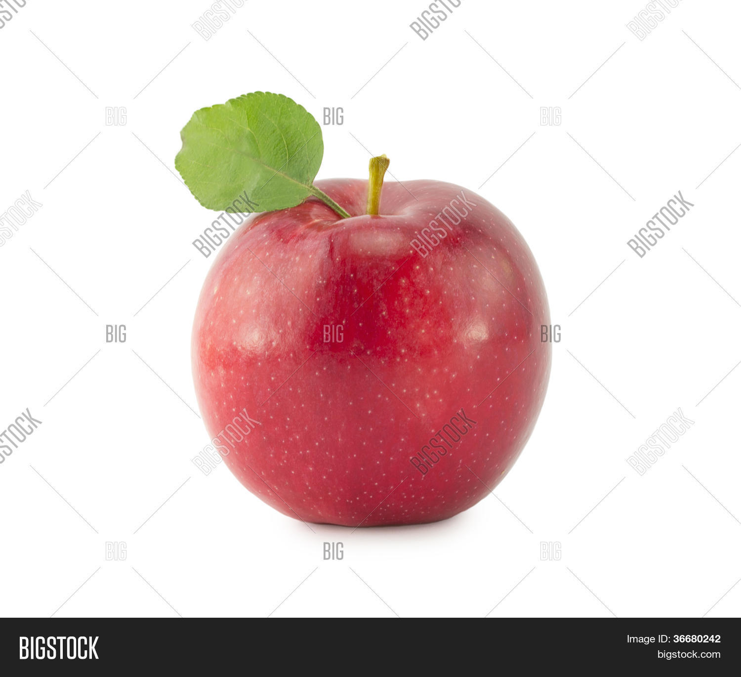 Image Preview
