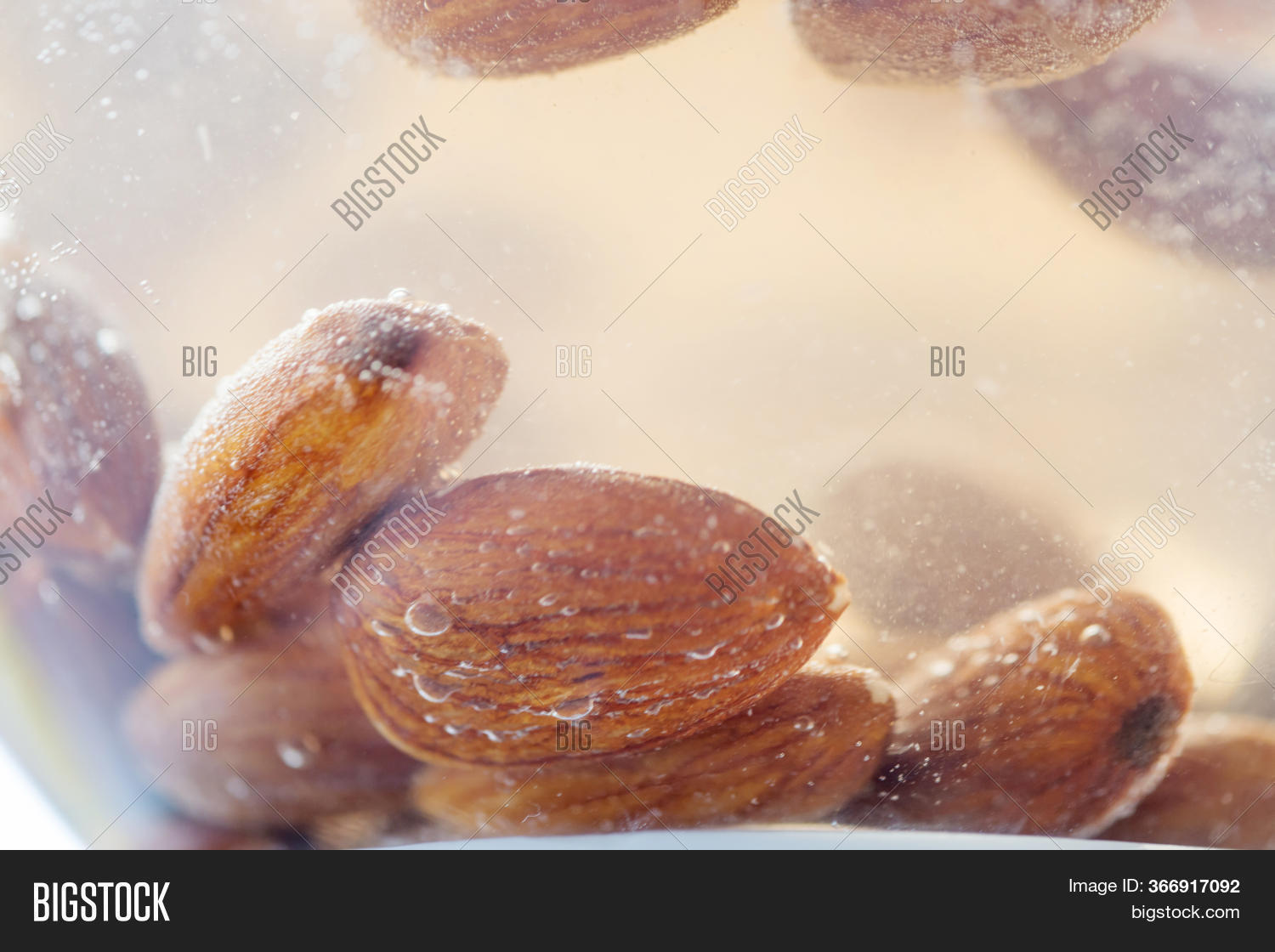 Almond Kernels Soaked Image & Photo (Free Trial) Bigstock