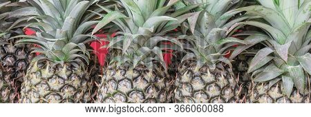 Panoramic Organic Green Pineapple With Leaves At Street Market In Geylang, Singapore