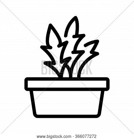 Home Grown Arugula Icon Vector. Home Grown Arugula Sign. Isolated Contour Symbol Illustration