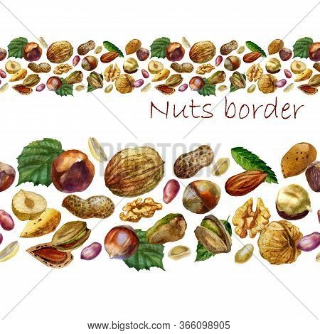 Watercolor Illustration, Walnut Border. Peanut. Inshell Peanuts Peeled Peanuts, Peanut Grains In The