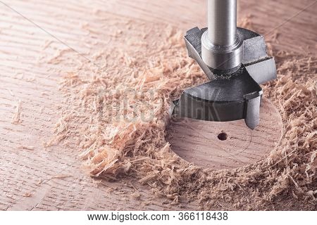Metal Drill Bit Forstner Make Holes In A Wooden Oaks Plank