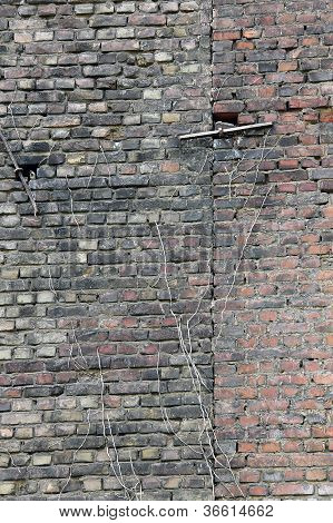 Jahrgang Mauer