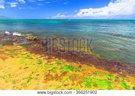 Hawaiian Landscape. Hawaii, Turtle Beach On Oahu Island, United States. Green Sea Turtle Or Hawaiian