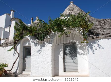 Trullo-ovet viiniköynnös