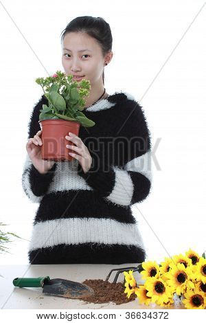 Gartenarbeit