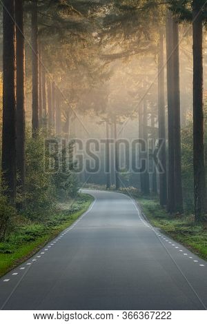 Speulderbos, Gelderland, The Netherlands - October 23, 2019 : An Empty Road In The Forest On An Earl