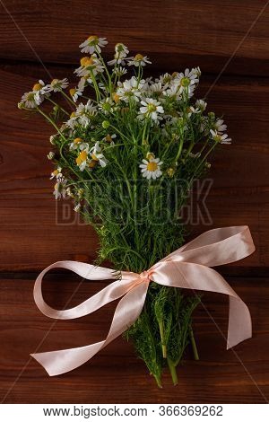 Blooming Fresh Camomiles Bouquet Wirh Ribbon Bow On Wooden Background. Beautiful Chamomile Flowers W