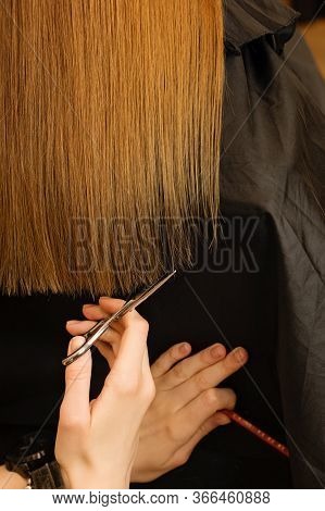 Young Customer With Long Demaged Hair In Hairdressing Salon. Hair Care Problems. Hairstylist Doing H