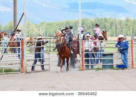 Little Britches Rodeo