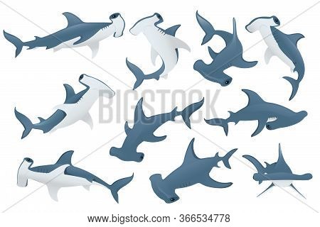 Set Of Hammerhead Shark Underwater Giant Animal Simple Cartoon Character Design Flat Vector Illustra