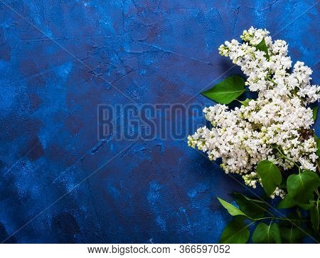 Abstract Grunge Decorative Deep Blue Wall Background With Brances Of White Lilac On It. Gloomy Rough