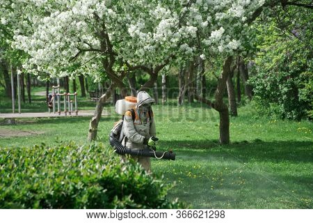 Tick-borne Treatment In A City Park. A Man Sprays A Repellent Among Green Grass And Blooming Apple T