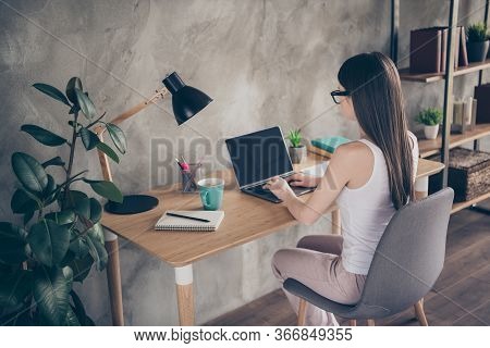 Back Rear Spine View Photo Of Focused Girl Ceo Expert Work Remote Laptop Have Online Conference With