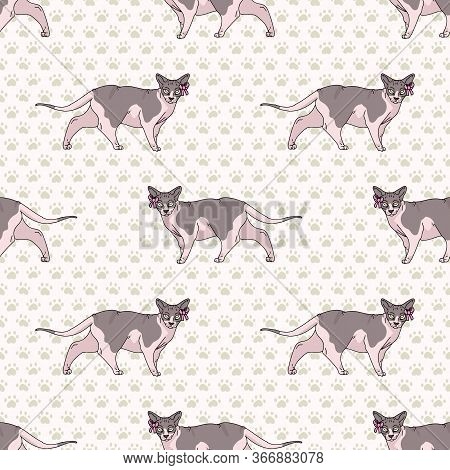 Cute Cartoon Sphynx Cat With Pink Bow Seamless Vector Pattern. Pedigree Exotic Kitty Breed Domestic 