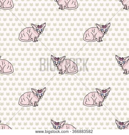 Cute Cartoon Sphynx Kitten With Pink Bow Seamless Vector Pattern. Pedigree Exotic Kitty Breed Domest