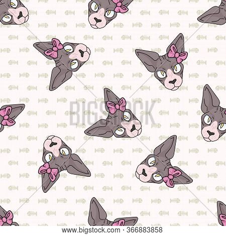 Cute Cartoon Sphynx Cat Face With Pink Bow Seamless Vector Pattern. Pedigree Exotic Kitty Breed Dome