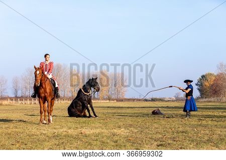 Hortobagy, Hungary, November, 04. 2018: Hungarian Csikos In Traditional Folk Costume Showing Off His
