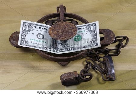 Money Trap, Us Money As Bait On Foothold Trap, On Textured Wood Background