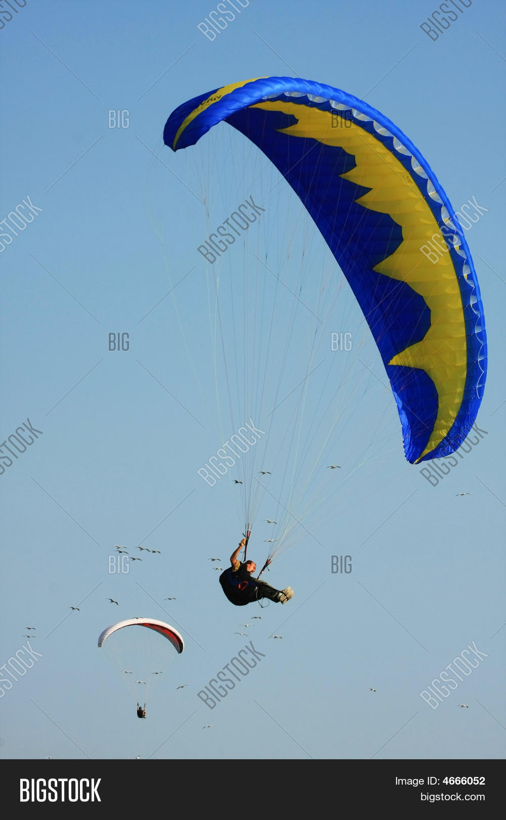 Image Preview