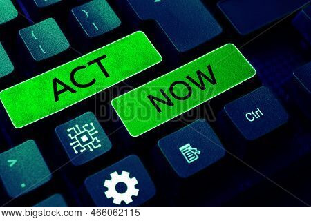 Text Caption Presenting Act Now. Business Overview Do Not Hesitate And Start Working Or Doing Stuff 