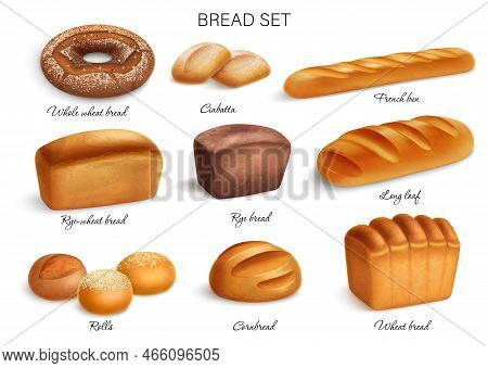 Realistic Bread Icon Set With Whole Wheat Rye Rye Wheat Breads Ciabatta French Bun Long Loaf Rolls A