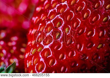 Fresh Red Strawberries Organic
