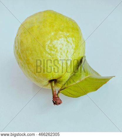 Guava Fruit With Green Leaf Single Common-guava Food Fresh Ripe Guapple Amrood Tropical And Subtropi