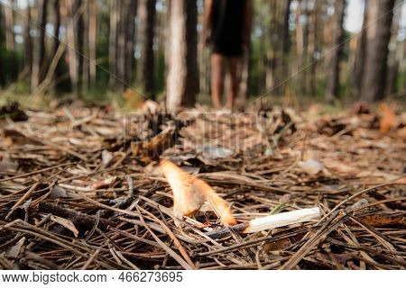 A Man Left A Burning Match In A Coniferous Forest. Burning Bonfire In A Forest May Cause Forest Fire
