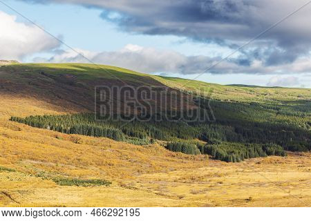 Iceland Inland Covered In Forest And Grass Fields Turning Yellow In Autumn