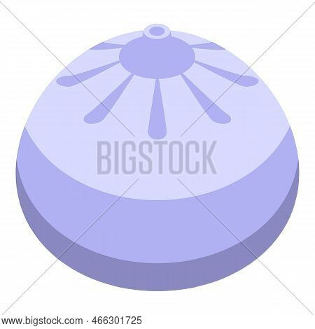 Dumpling Food Icon Isometric Vector. Chinese Baozi. Steam Dimsum