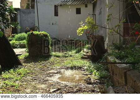 A Magical Scene Of A Typical Lebanese Backyard In Batroun.