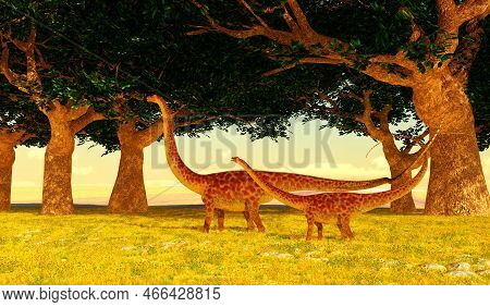 Diplodocus Dinosaur Garden 3d Illustration - A Female And A Juvenile Diplodocus Sauropod Dinosaurs C
