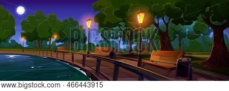 Riverside Night Park Lane With Benches And Illuminated Light Posts Under Green Trees Growing Along R