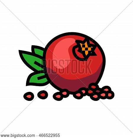 Pomegranate Whole Grain Leaf Color Icon Vector. Pomegranate Whole Grain Leaf Sign. Isolated Symbol I