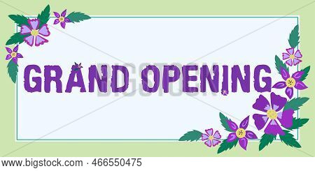 Text Caption Presenting Grand Opening. Business Approach Ribbon Cutting New Business First Official 